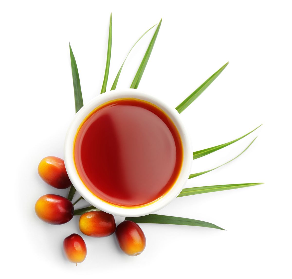 RBD Refined Palm Oil
